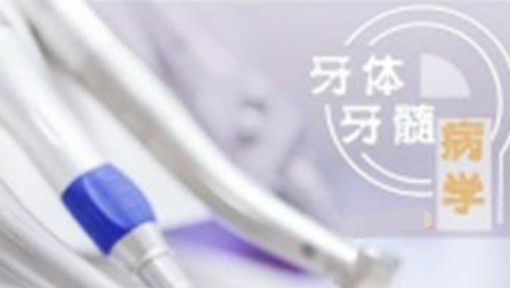 牙体牙髓病学