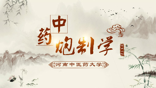 中药炮制学