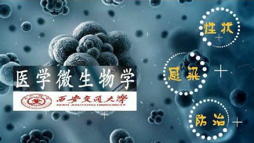 医学微生物学