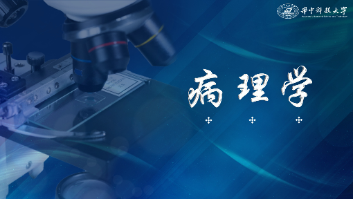 病理学