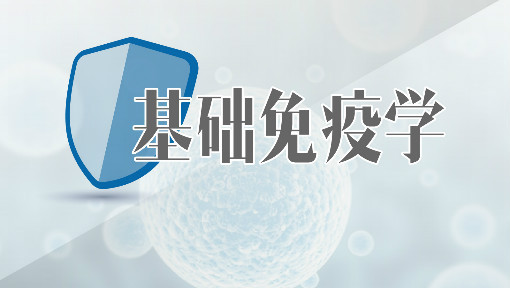 基础免疫学