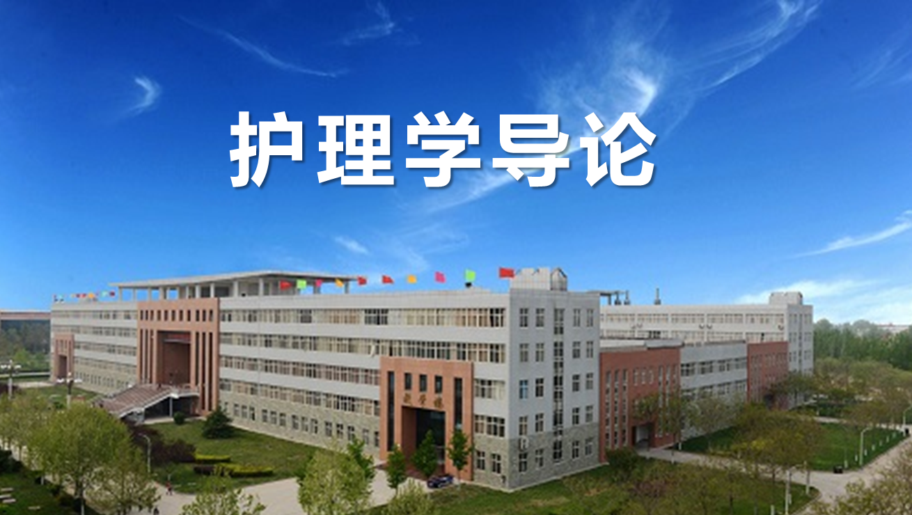 护理学导论