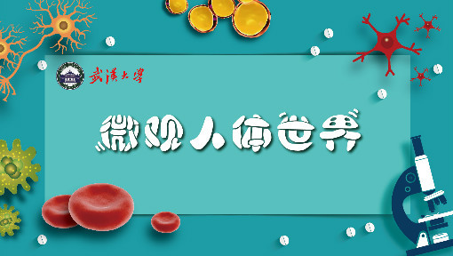 微观人体世界