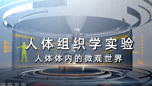 人体体内的微观世界-人体组织学实验
