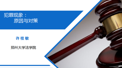 犯罪现象：原因与对策