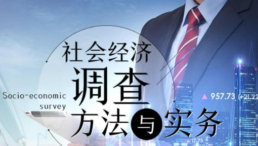 社会经济调查方法与实务
