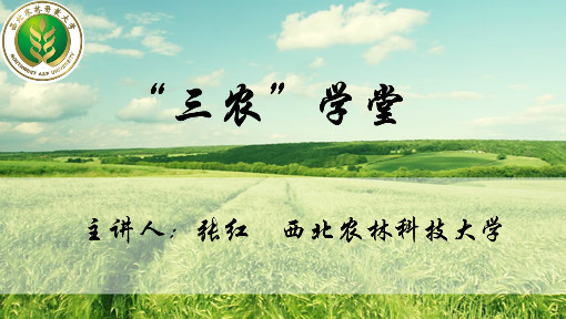“三农”学堂