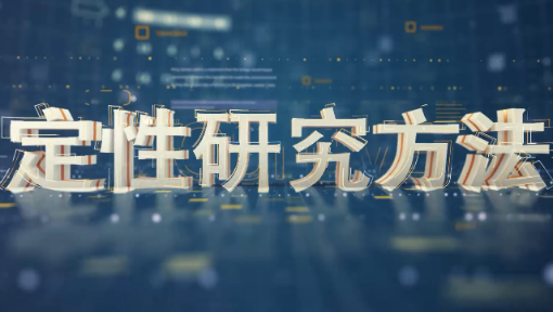 定性研究方法