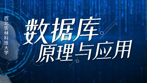 数据库原理与应用