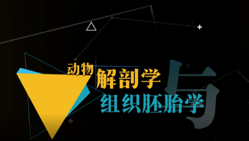 动物解剖学与组织胚胎学