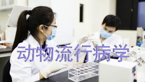 动物流行病学