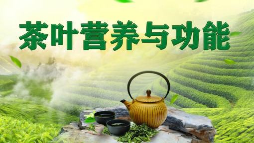 茶叶营养与功能
