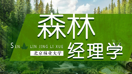 森林经理学
