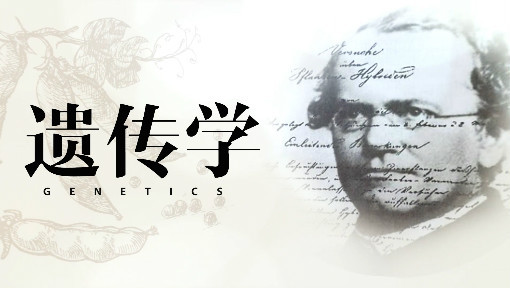 遗传学