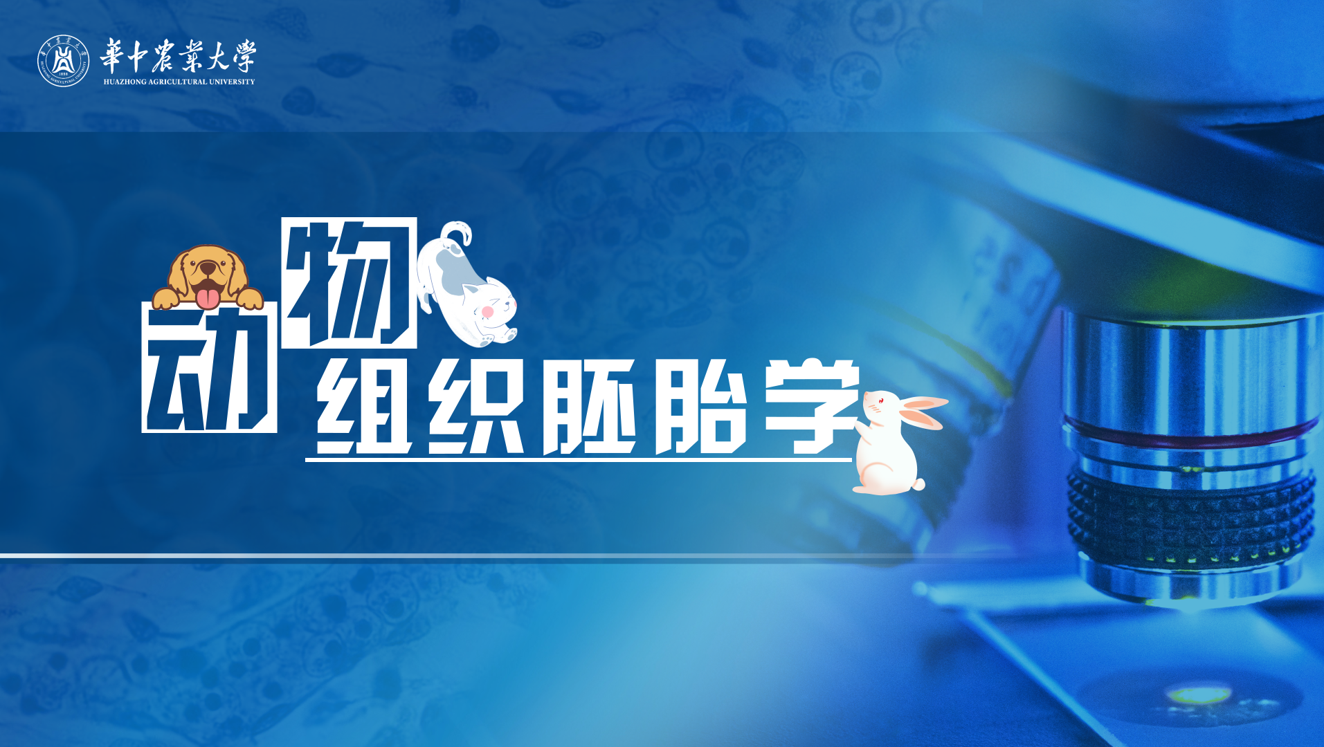 动物组织胚胎学