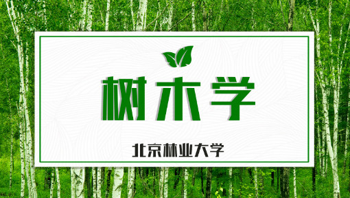 树木学