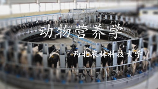 动物营养学