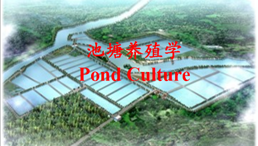 池塘养殖学