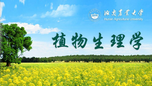植物生理学