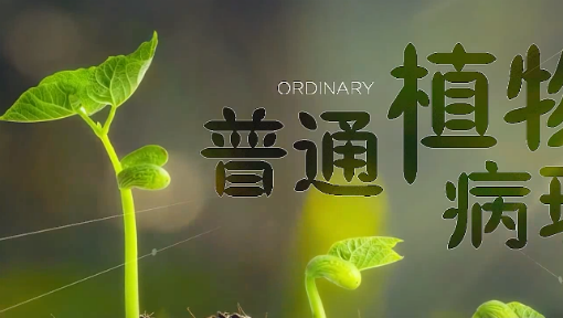 普通植物病理学