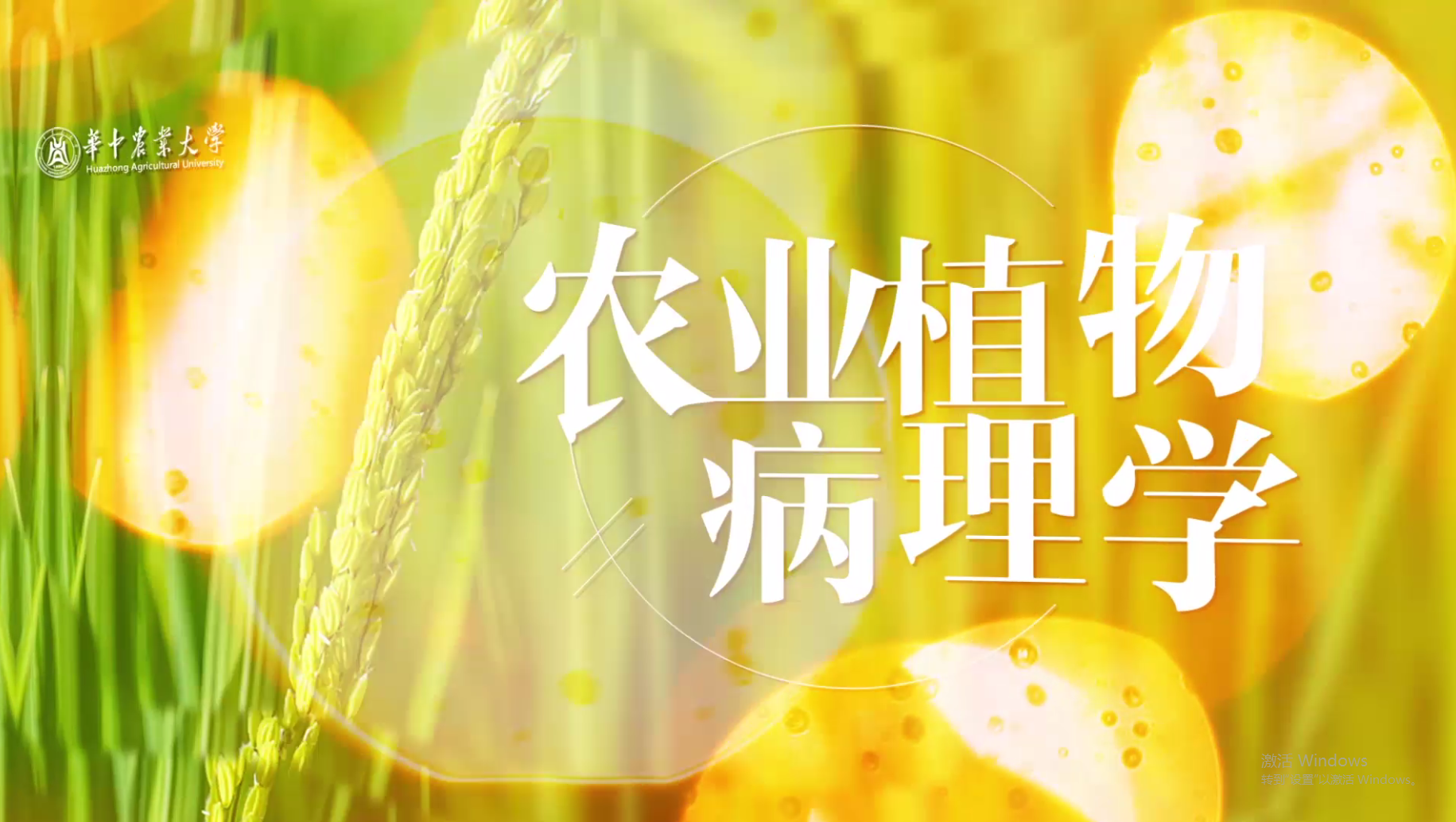 农业植物病理学