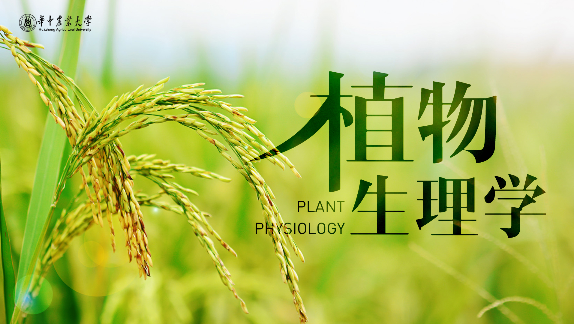 植物生理学