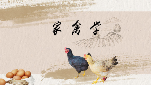 家禽学