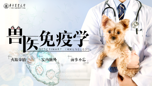 兽医免疫学