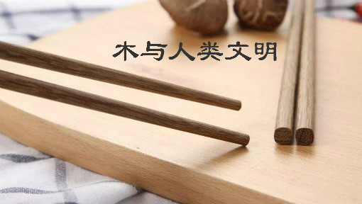 木与人类文明