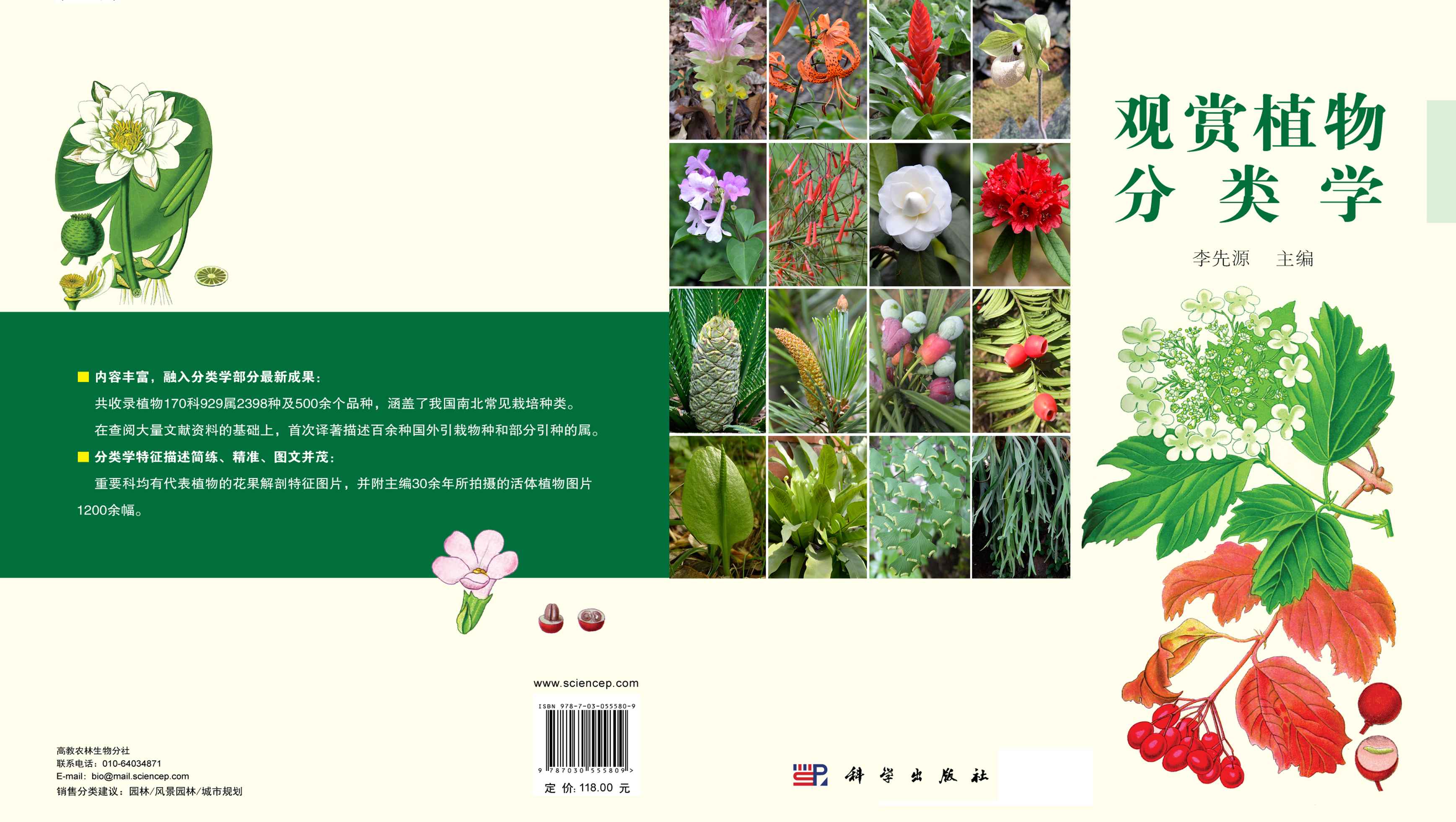 观赏植物分类学