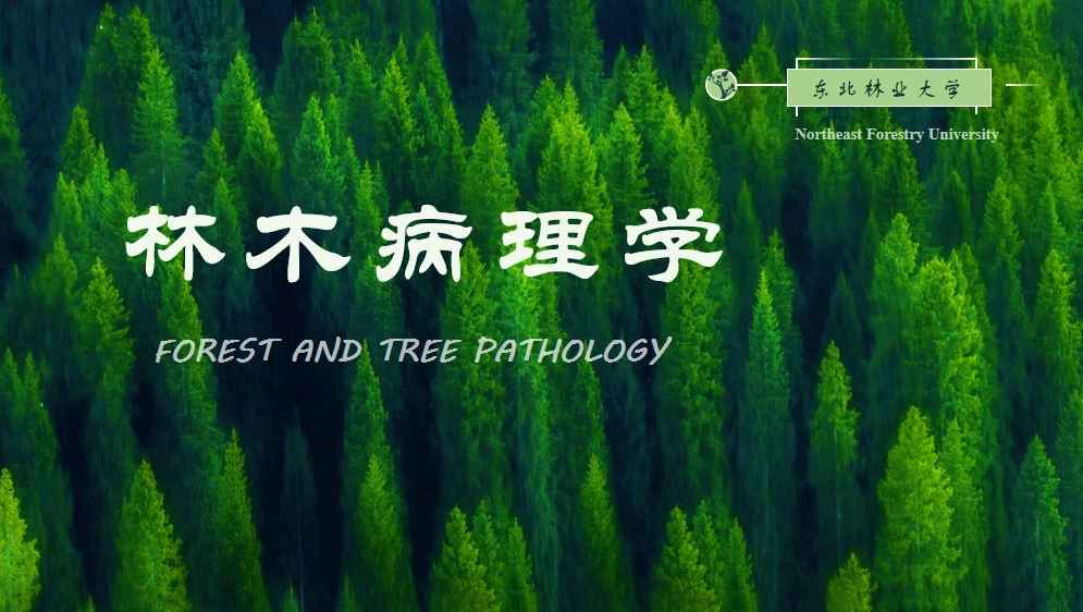林木病理学