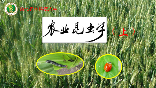 农业昆虫学（上）