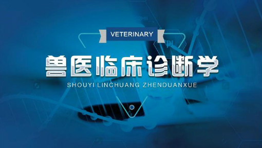 兽医临床诊断学