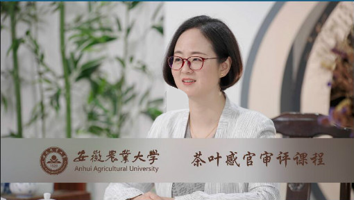 茶叶感官审评