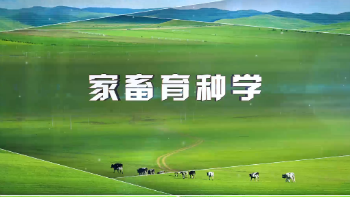 家畜育种学