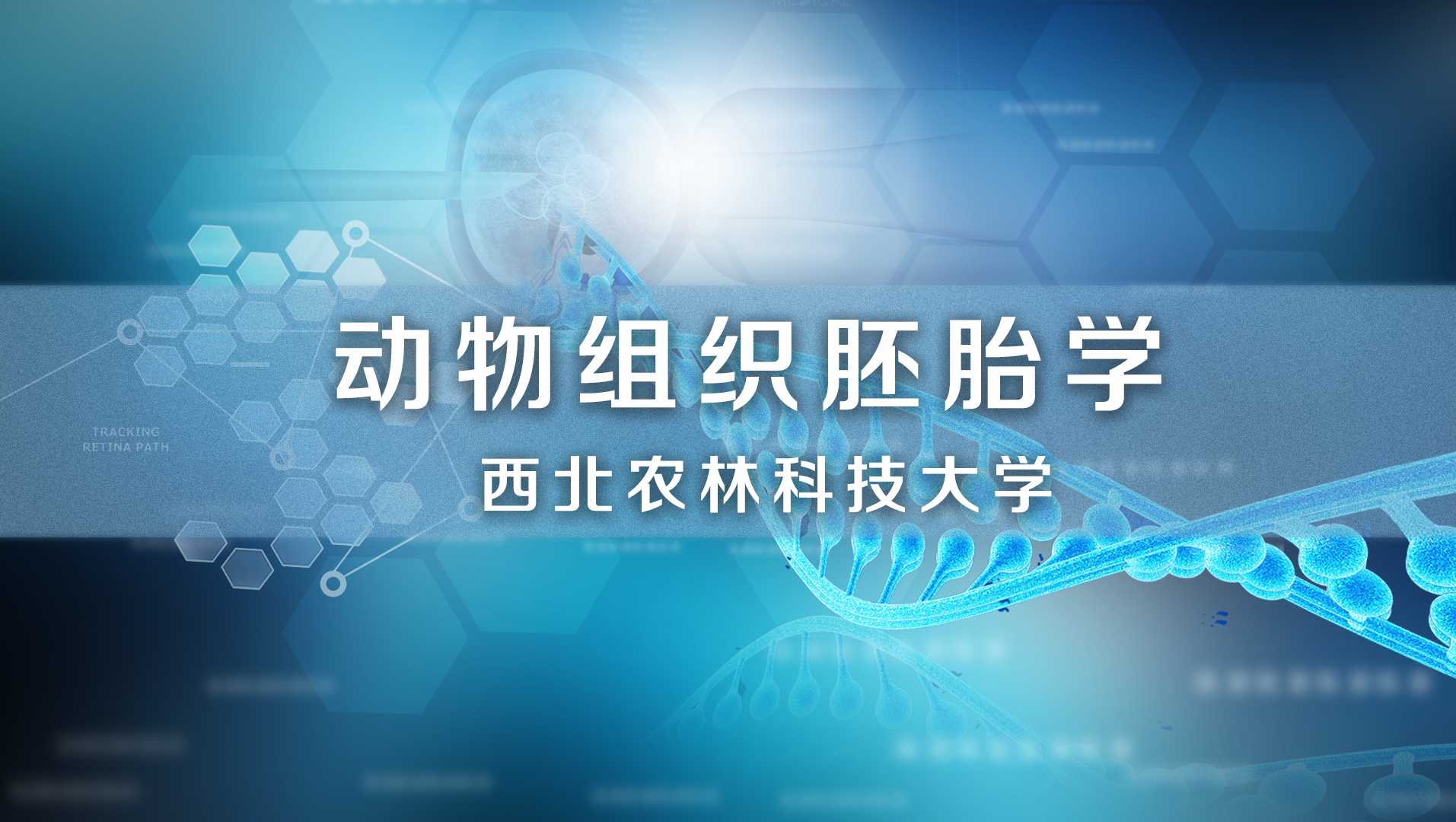 动物组织胚胎学