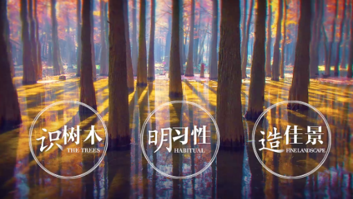 园林树木学