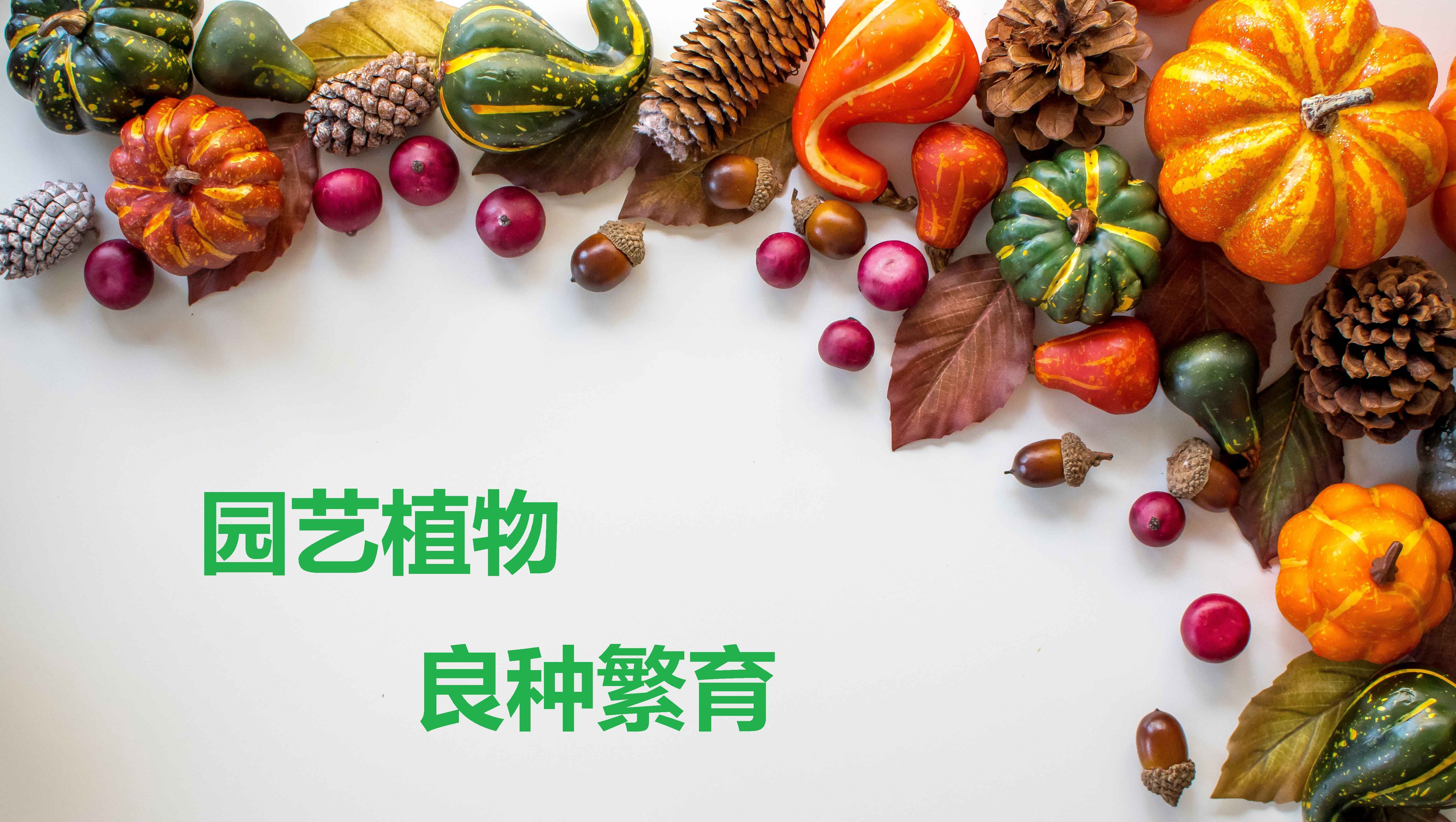 园艺植物良种繁育