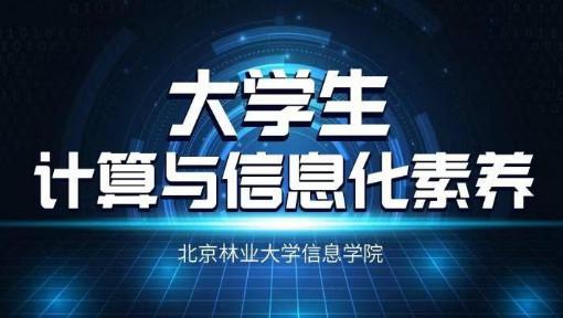 大学生计算与信息化素养