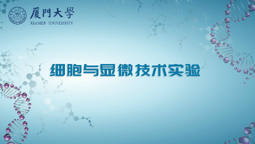 细胞与显微技术实验