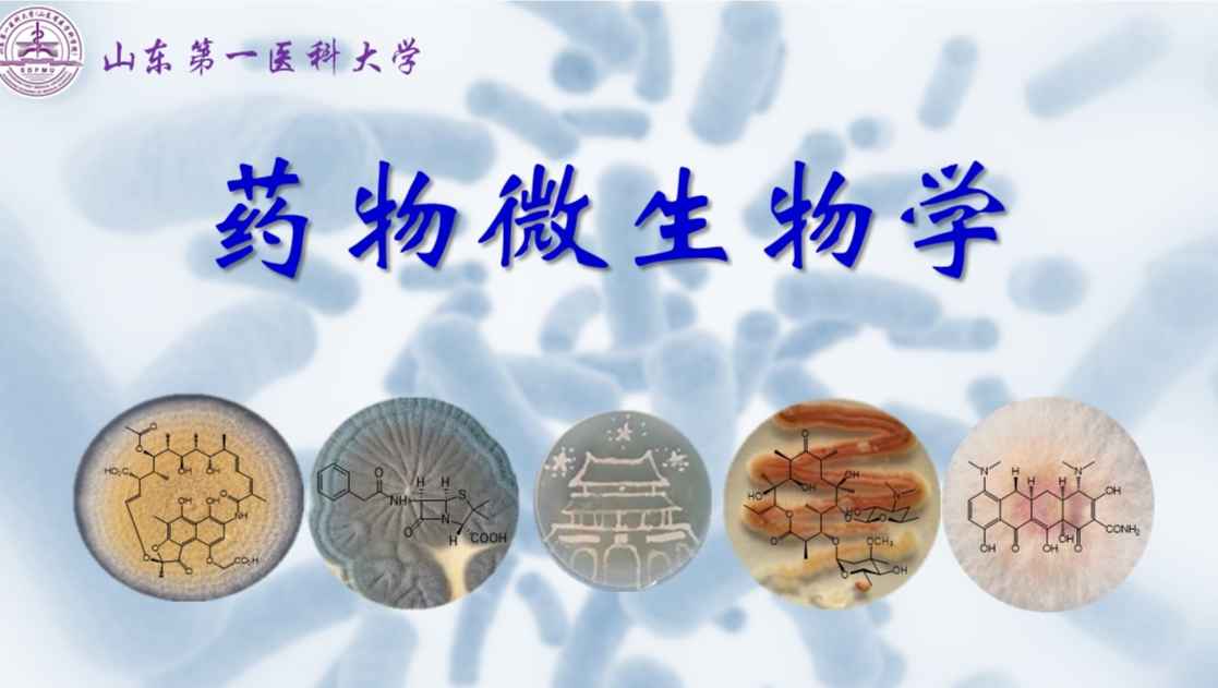 药物微生物学