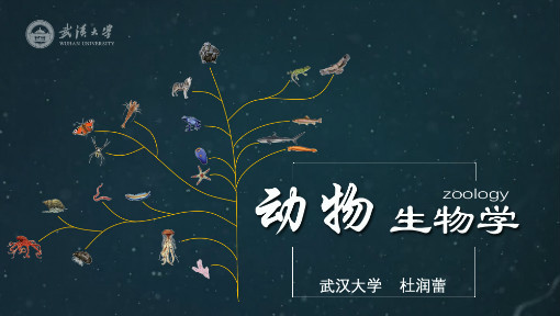 动物生物学