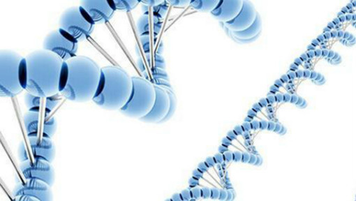分子生物学