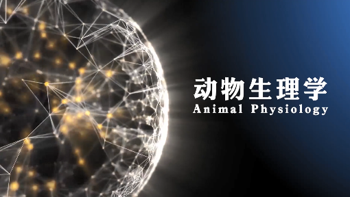 动物生理学
