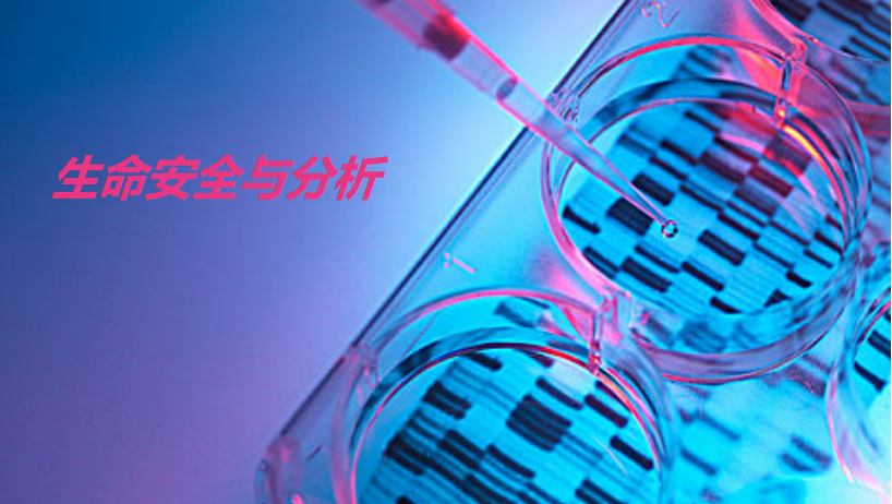 生命安全与分析