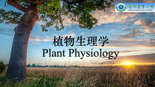 植物生理学