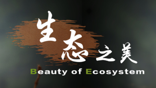 生态之美