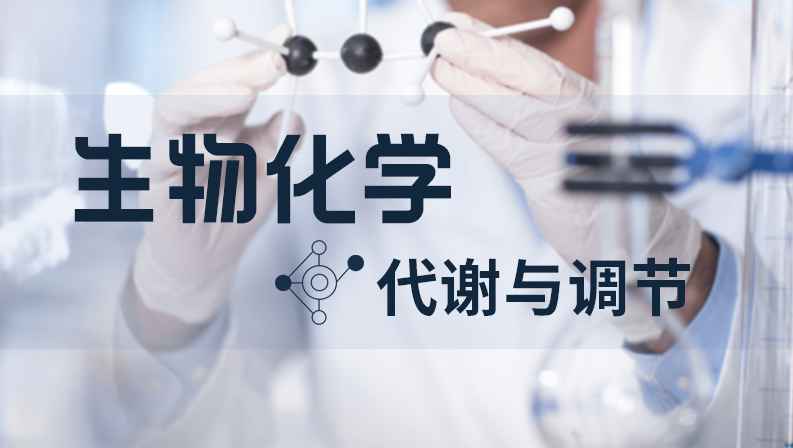 生物化学-代谢与调节