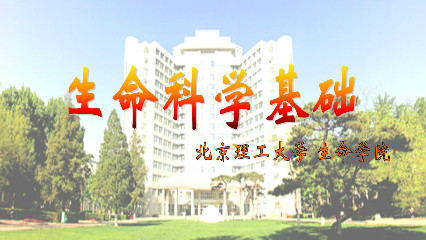 生命科学基础