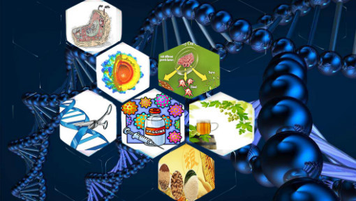 改变生活的生物技术